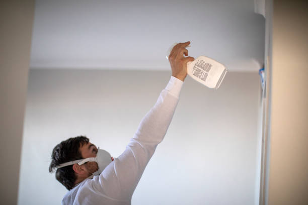 Best Office Mold Removal Services  in Yale, MI