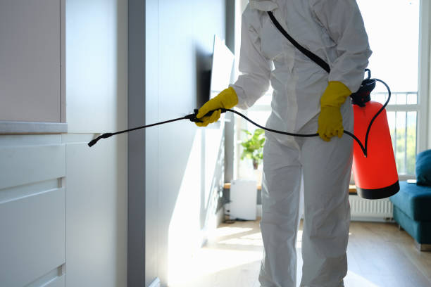 Best Mold Remediation  in Yale, MI