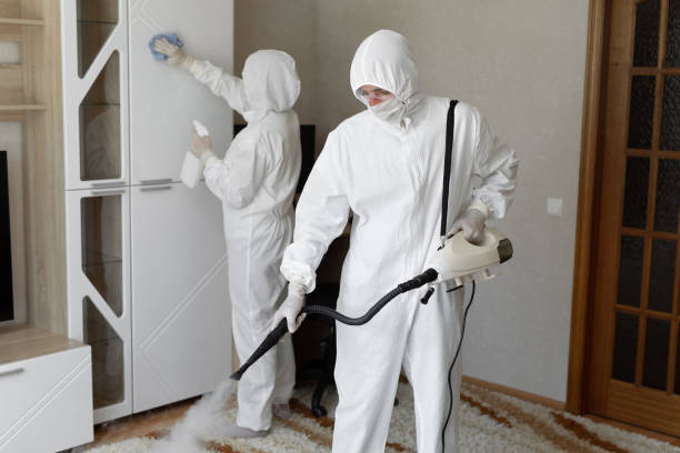 Best Mold Damage Repair  in Yale, MI