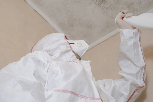  Yale, MI Mold Removal Pros